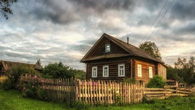 Дома, которые могут признать пустующими в деревне Богдановка Лунинецкого района