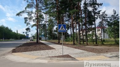 Как в Беларуси будет организована работа по наведению порядка на земле и благоустройству территории