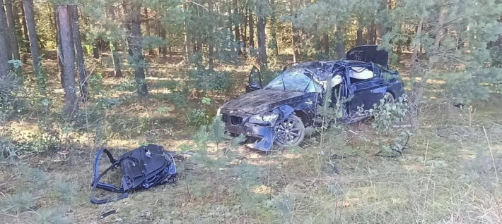 Водитель «БМВ» погиб, пытаясь объехать собаку на дороге в Житковичском районе 