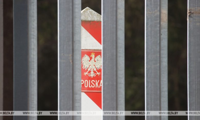 Польша начала строительство пограничного забора на территории Беловежской пущи