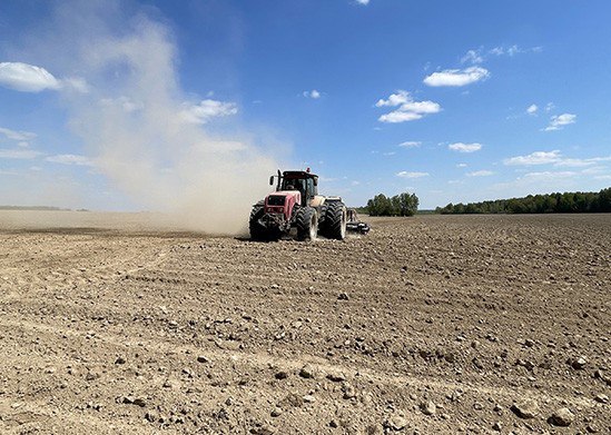Госконтроль выявил нарушения при проведении посевной кампании в Брестской области