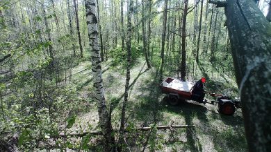 Житель Лунинецкого района съездил в лес и «насобирал» кучу административных статей