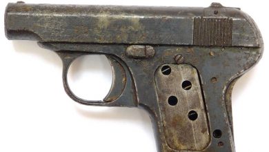 В Брестской области сельчанин нашел ящик с раритетным пистолетом