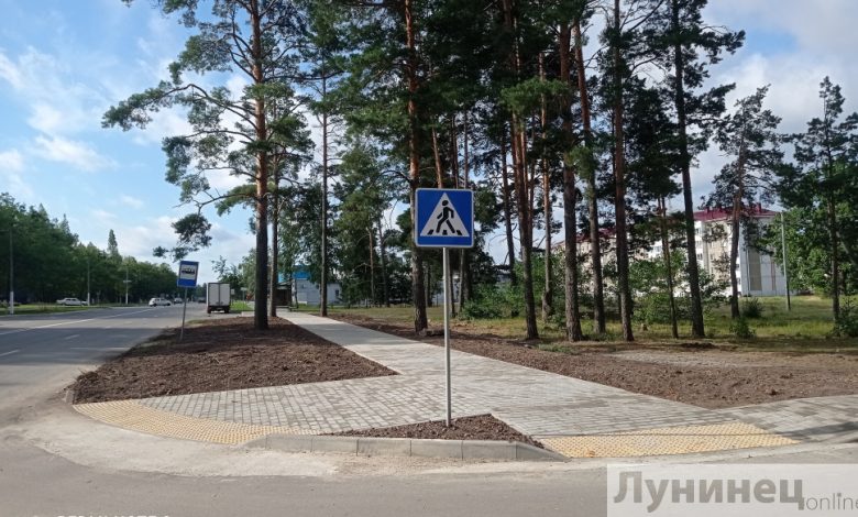 Как в Беларуси будет организована работа по наведению порядка на земле и благоустройству территории
