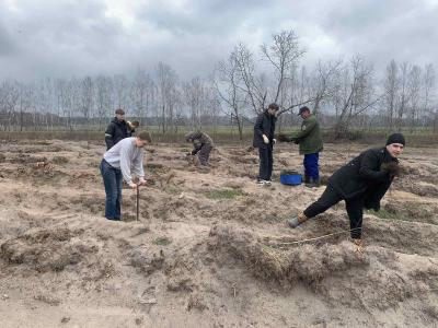 "Дай лесу новае жыццё": В Лунинецком районе продолжается республиканская акция 