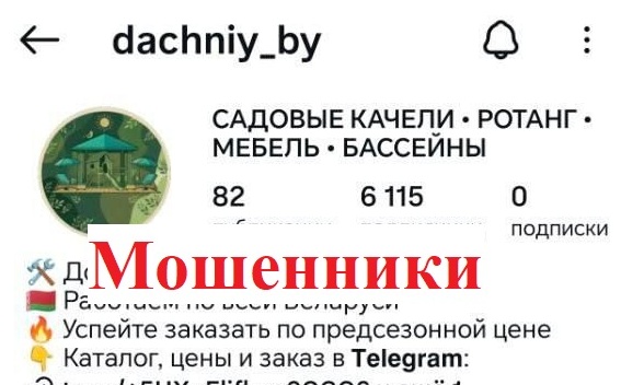 Лунинчанка перевела мошенникам почти 500 рублей за детский комплекс