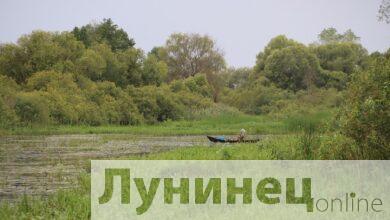 Припятское Полесье: природа и рыбалка в Лунинецком районе (фоторепортаж)