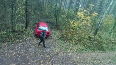 В Лунинецком районе нарушитель заплатил 128 рублей за мешок земли из леса