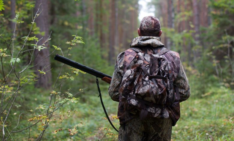 С 20 августа открывается сезон охоты на лося и оленя благородного