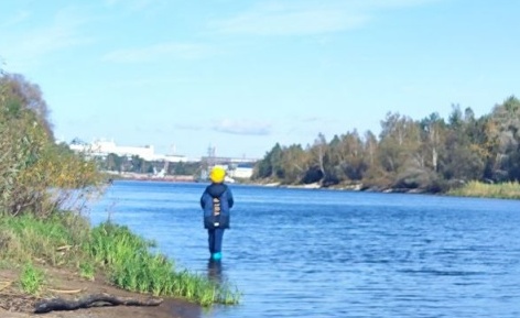 Полный запрет на рыбную ловлю введен на канале Микашевичский и части Припяти