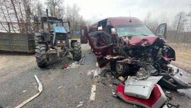 В ДТП на трассе Бобруйск-Глуск пострадали 10 человек. Опять маршрутка