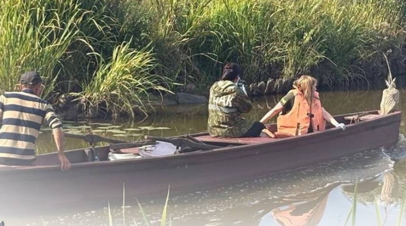Зафиксирован мор рыбы в одном из водоемов Брестской области