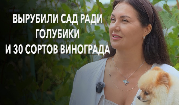 Все в шоке! Вырубили роскошный сад и посадили голубику! История, как найти гармонию   