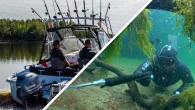 Подводная охота и лов рыбы на дорожку в Лунинецком районе и не только…