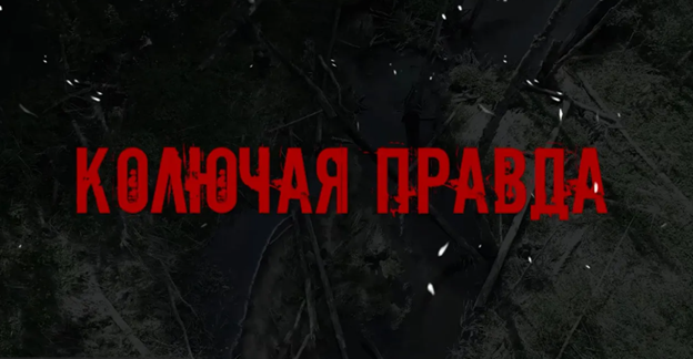 Телефонный ТЕРРОРИЗМ и УГРОЗЫ минирования: как радикалы хотели устроить панику во время ВНС