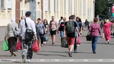 В Беларуси будет активнее внедряться система добровольных пенсионных накоплений — Лукашенко