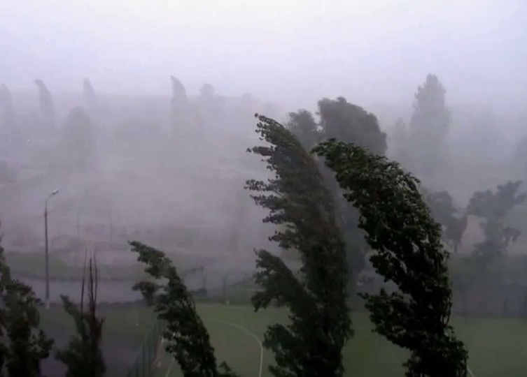 Шквалистый ветер и заморозки! В Беларуси объявлен оранжевый уровень опасности и штормовое предупреждение