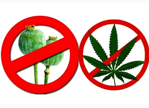 На Лунинетчине стартует специальная программа «Мак»