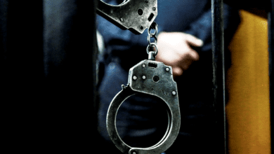 Жителя Лунинецкого района приговорили к 8 годам лишения свободы за разбой и кражи