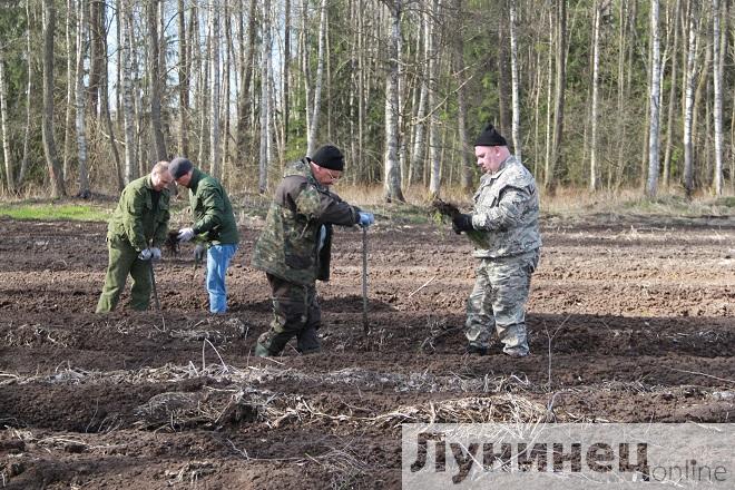 «Тыдзень лесу» праходзіць у Лунінецкім раёне (фотарэпартаж)