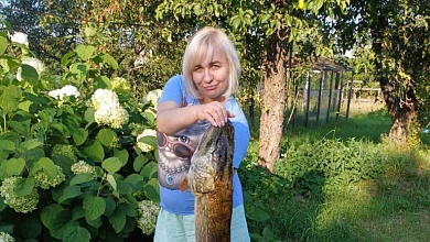 Огромную щуку выловила жительница Барановичей