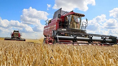 Кто является лидерами по урожайности в Лунинецком районе?