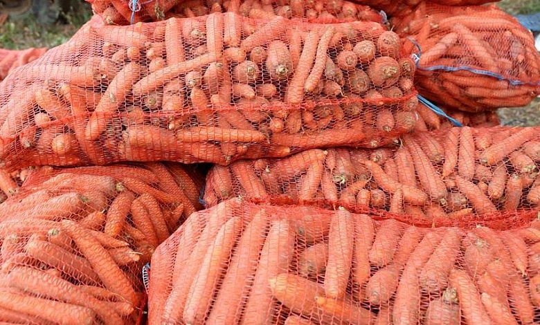 Закладка плодоовощной продукции в стабфонды: сколько есть?