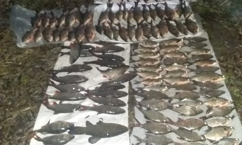 Браконьеров задержали на Припяти и Горыни в Лунинецком и Столинском районах