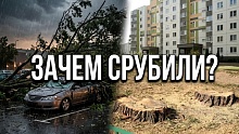 А все просто! В Бресте срубили деревья в микрорайоне Южный 