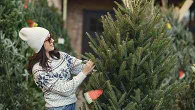 По чем новогодние елки? Начинают работу елочные базары в Лунинецком районе