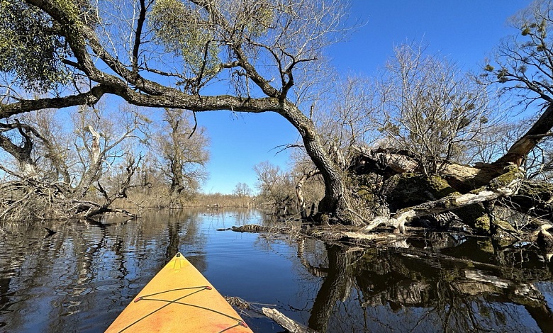 Необычные экскурсии: в сапогах по "морю Геродота" Припятского Полесья