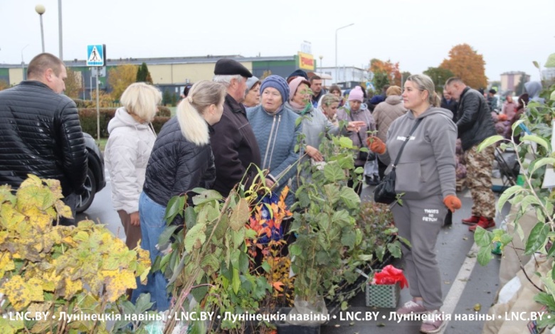 Вот такие цены! Сельскохозяйственная ярмарка развернулась в Лунинце 12 октября