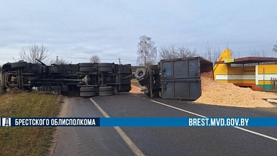 Грузовик со щепой перевернулся в Брестской области