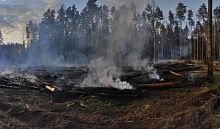Ущерб 168 тыс. рублей! Из-за брошенной сигареты горел лес. Подозреваемый - помощник вальщика 