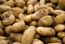 Минэкономики прокомментировало цены на картофель и дало прогноз по инфляции