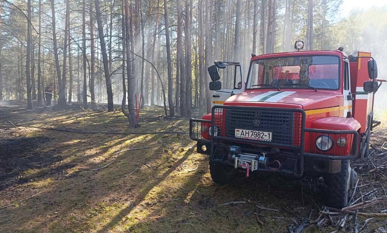 Лесной пожар произошел в Брестской области. Действует ограничение на посещение лесов 