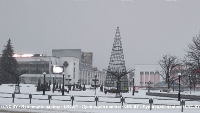 Фотофакт. В Микашевичах уже установили каркас главной городской елки