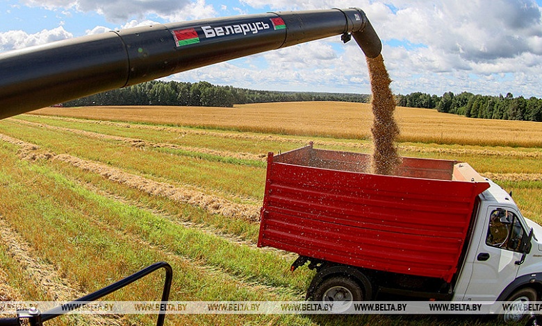 Вес каравая | Об урожае хлеба рассказали в Брестском облисполкоме