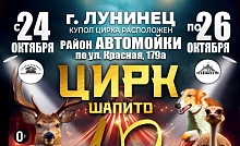 С 24 по 26 октября в Лунинце представят международную программу Гомельского цирка