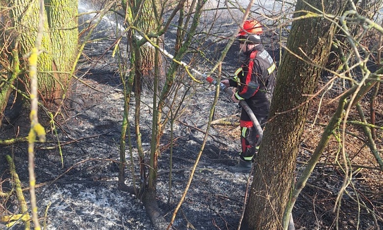 Напряженная обстановка складывается с лесными пожарам в Брестской области