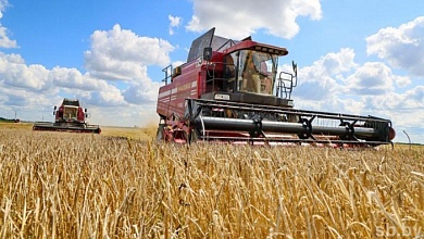 Успехи комбайнеров и водителей в уборке урожая зерновых в Лунинецком районе