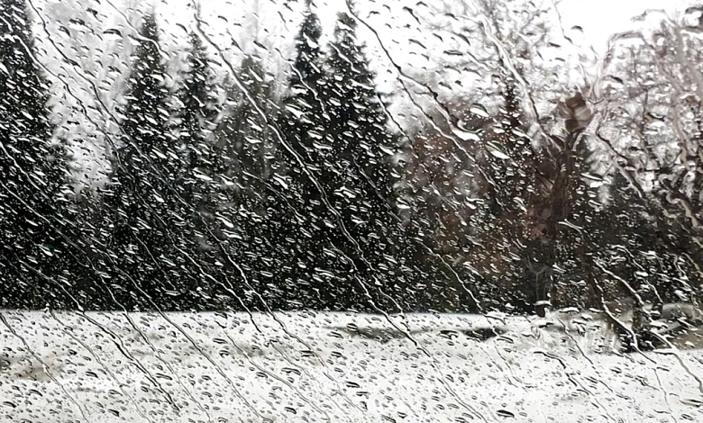 Южный циклон активно набирает скорость. Что он несет в Беларусь, рассказали в Белгидромете