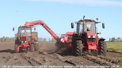 Почти 32 тысячи тонн картофеля уже накопано в Лунинецком районе