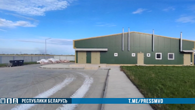 Погибли около 700 поросят из-за халатности инженера в Лиозненском районе