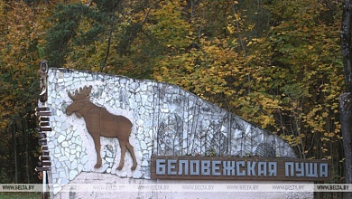 Подготовку к зимнему турсезону начали в Беловежской пуще