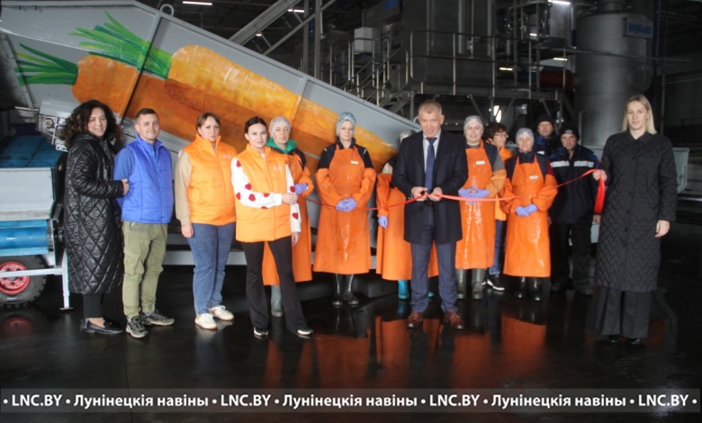 Новую линию шоковой заморозки овощей открыли в ФХ "Новицких" Лунинецкого района