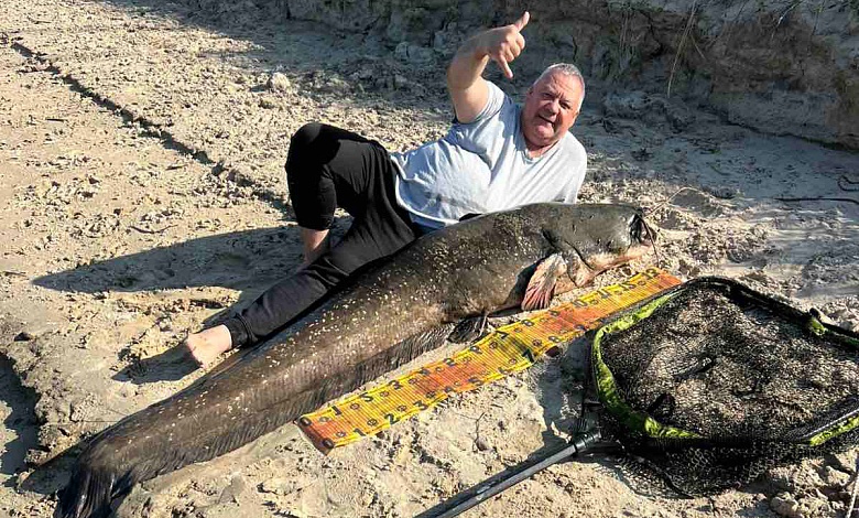 Усатого гиганта выловили в реке Припять