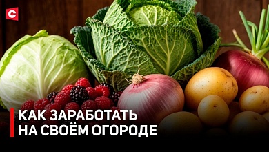 Хорошие деньги на овощах и ягодах! Как заработать?