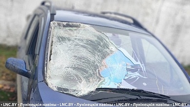 Будут судить водителя, который сбил пешехода и скрылся с места ДТП в Лунинецком районе