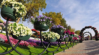 Какие населенные пункты самые благоустроенные в Беларуси? В списке есть и из Брестской области